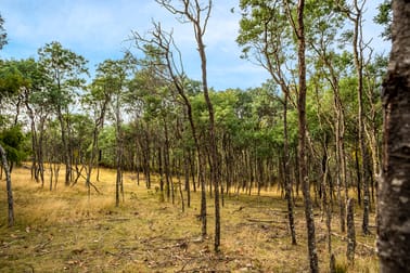 Lot 1 Yarlington Road Colebrook TAS 7027 - Image 2