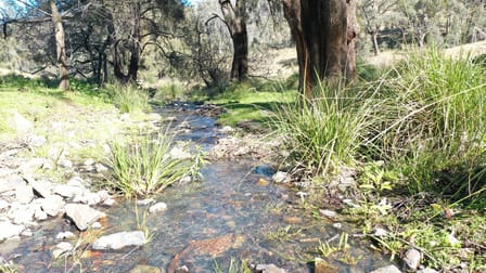 1022 Danglemah Road Limbri NSW 2352 - Image 1
