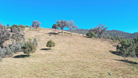 1022 Danglemah Road Limbri NSW 2352 - Image 3