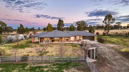 53C Nowland Crescent Tamworth NSW 2340 - Image 1