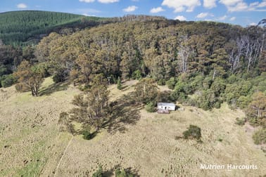 1 Widdons Road Devon North VIC 3971 - Image 3