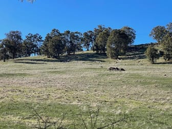 Lot 22 Lower Hotham Road Quindanning WA 6391 - Image 3