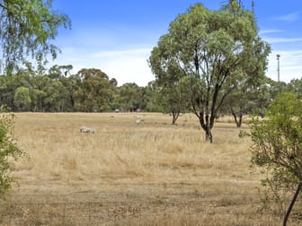 1210 Picola - Barmah Road Barmah VIC 3639 - Image 3