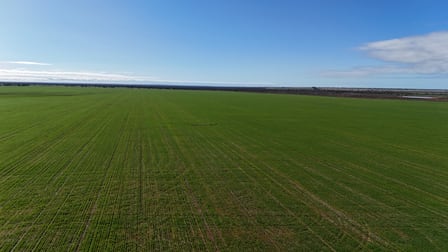 697 Solomon Road Perenjori WA 6620 - Image 1