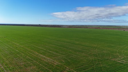 697 Solomon Road Perenjori WA 6620 - Image 2
