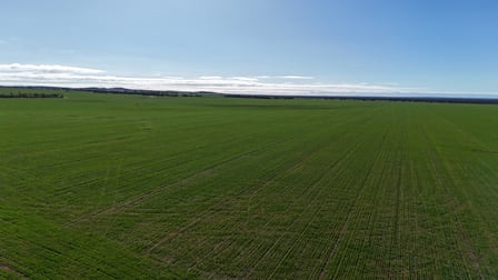 697 Solomon Road Perenjori WA 6620 - Image 3