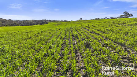 1296 Alexandrina Road Finniss SA 5255 - Image 3