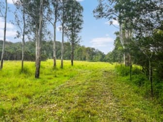 Lot 12 Busbys Flat Road Busbys Flat NSW 2469 - Image 3