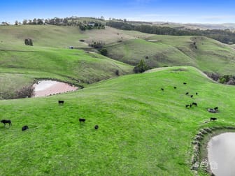 710 Korumburra - Warragul Road Ranceby VIC 3951 - Image 2