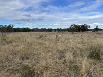 2939 Mosquito Creek Road Mosquito Creek QLD 4387 - Image 2