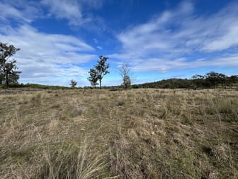 2939 Mosquito Creek Road Mosquito Creek QLD 4387 - Image 3