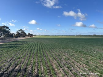 . "Morgans", White Well & Mt Pleasant Roads Dumbleyung WA 6350 - Image 1