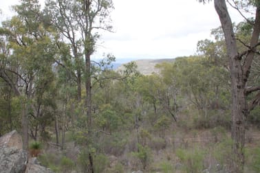 Lot 49 Gunyah Road Tenterfield NSW 2372 - Image 3