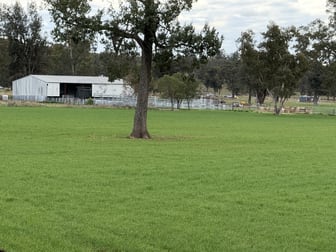 877 Mount Tallabung Road Forbes NSW 2871 - Image 3