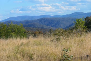 3 Hills Gate Forest Road Upper Tooloom NSW 2475 - Image 2