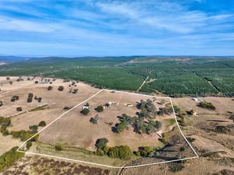 2585 Burraga Road Burraga NSW 2795 - Image 2