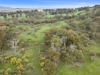 110 Daisyburn Road Hilldene VIC 3660 - Image 2