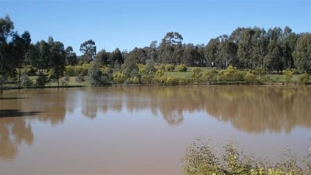 647 Sloans Road Violet Town VIC 3669 - Image 2