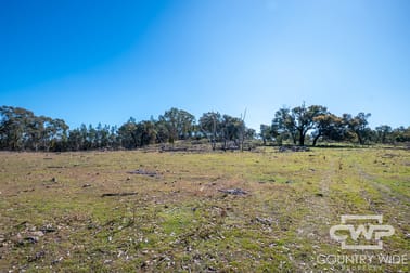 16, 18, - Emmaville Rd Emmaville NSW 2371 - Image 2