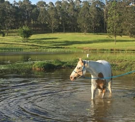 148 Mimi Creek Road Firefly NSW 2429 - Image 1