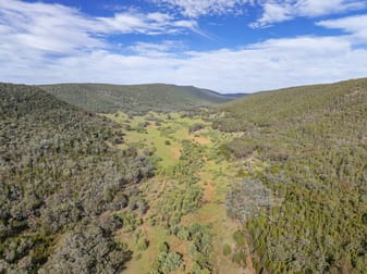 'Part Wattle Valley' Kangarooby Road Gooloogong NSW 2805 - Image 1
