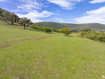 'Part Wattle Valley' Kangarooby Road Gooloogong NSW 2805 - Image 2