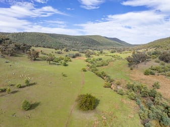 'Part Wattle Valley' Kangarooby Road Gooloogong NSW 2805 - Image 3