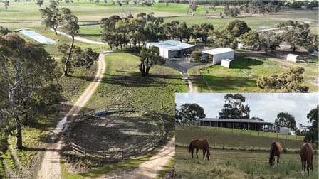 2773 Naracoorte Road Western Flat SA 5268 - Image 1
