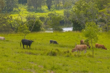 Dondingalong NSW 2440 - Image 3