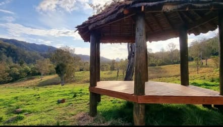 154 Sawpit Creek Road Findon Creek NSW 2474 - Image 3