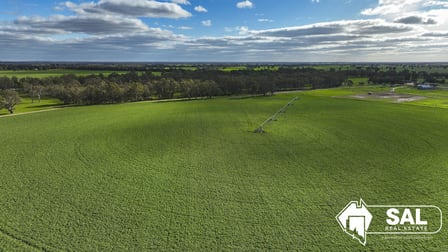 200 Pooginagoric Road Bordertown SA 5268 - Image 3