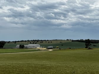 917 Burt Road Bordertown SA 5268 - Image 1