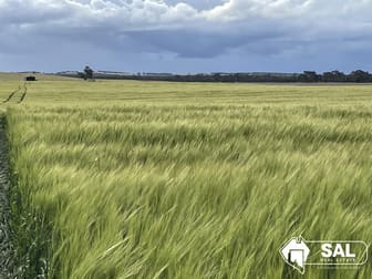 917 Burt Road Bordertown SA 5268 - Image 2