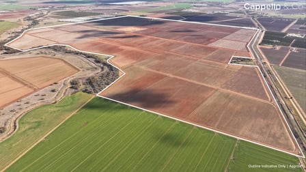 73 Mirrool Branch Canal Road Hanwood NSW 2680 - Image 3