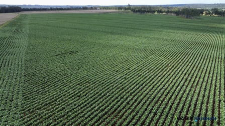 Lot 2 Reedy Creek Road Benair QLD 4610 - Image 3