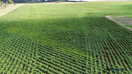 Lot 2 Reedy Creek Road Benair QLD 4610 - Image 2