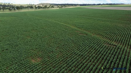 Lot 2 Reedy Creek Road Benair QLD 4610 - Image 1