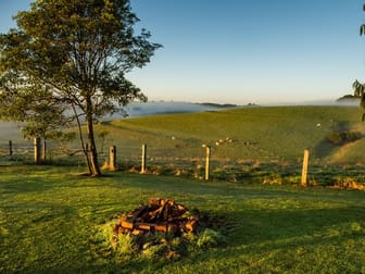Caravan Park  business for sale in Dorrigo - Image 1