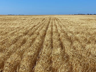 Click to view all images 23060 Sturt Highway Yamba SA 5340 - Image 3