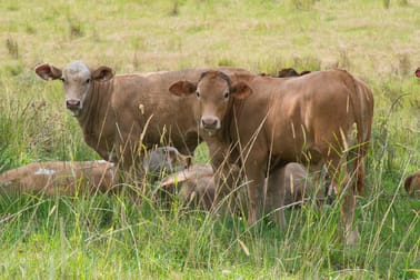 Click to view all images 39-57 Aspreys Road Ettrick NSW 2474 - Image 3