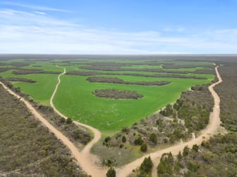 157 Coombs Road Yeelanna SA 5632 - Image 2