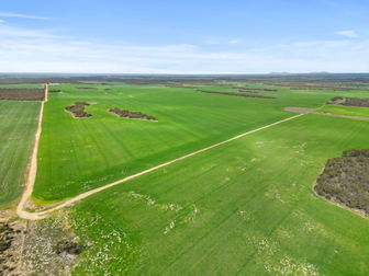 157 Coombs Road Yeelanna SA 5632 - Image 3