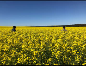 Valentine Road Wicherina WA 6532 - Image 2