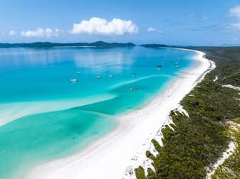 Professional Services  business for sale in Whitsundays - Image 1