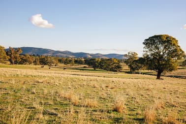 Lot 289 Garryowen Road Binalong NSW 2584 - Image 2