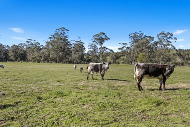 209 Treadwells Road Poowong North VIC 3988 - Image 3