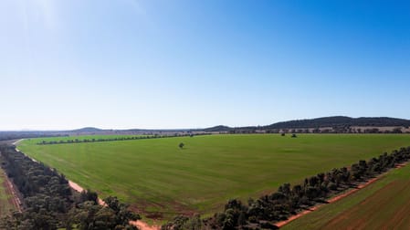 Sandy Camp & Kimaroi Sandy Camp Road Condobolin NSW 2877 - Image 2
