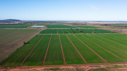 Sandy Camp & Kimaroi Sandy Camp Road Condobolin NSW 2877 - Image 3