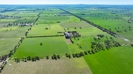 'Pastoria Park' 205 Balldale Road Hopefield NSW 2646 - Image 3