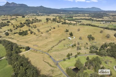 365 Tyalgum Creek Road Tyalgum Creek NSW 2484 - Image 1